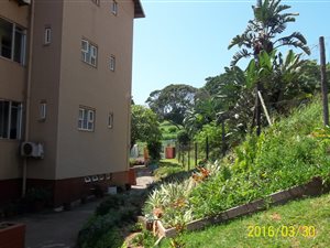 Bachelor apartment in Bluff