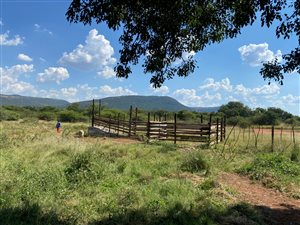 33.2 ha Farm in Rustenburg Central
