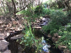 3 Bed House in Woodmead