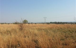 1 ha Land available in Grootvlei
