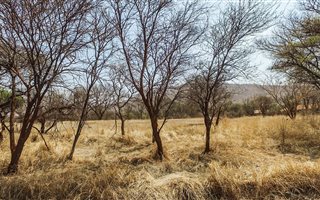 1237 m² Land available in Thabazimbi