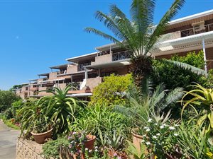 1 Bed Apartment in Pietermaritzburg Central