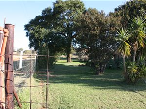 4 ha Farm in Randfontein