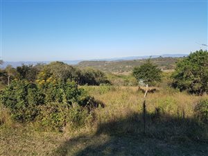 1.3 ha Land available in Wild Fig Estate