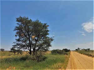 8399 ha Farm in Kuruman