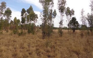 1068 m² Land available in Kameeldrift East
