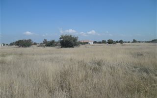 926 m² Land available in Naudeville
