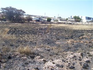 6452 m² Land available in Elandshaven