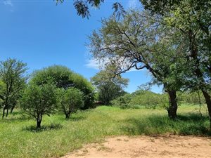 21 ha Farm in Bela-Bela (Warmbaths)