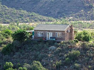 Game Farm in Graaff Reinet