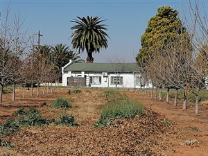 35 ha Farm in Hartswater