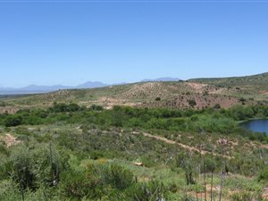 32 ha Farm in Oudtshoorn