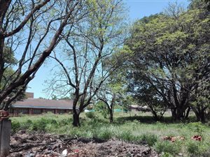 2855 m² Land available in Louis Trichardt