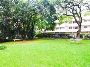1 Bed Apartment in Houghton Estate