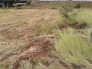 1650 m² Land available in Lady Selborne