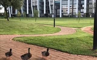 2 Bedroom Apartment in Midfield Estate
