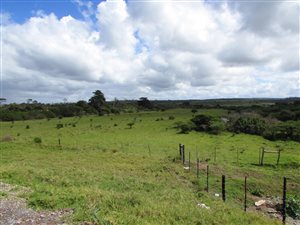 124 ha Land available in East Bank
