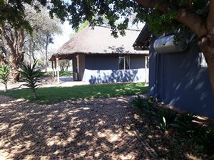 30 m² Farm in Mokopane
