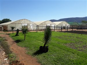 30 ha Farm in Mokopane