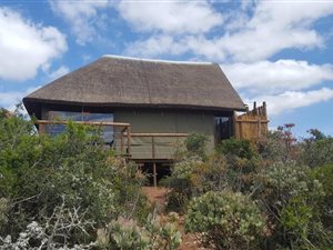42 ha Farm in Port Elizabeth Central