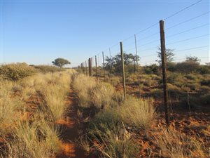 Game Farm in Kuruman