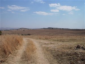 22 ha Land available in Doornrandje