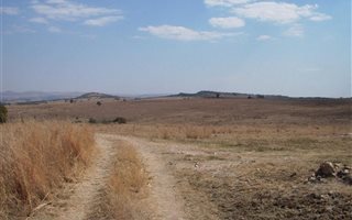 22 ha Land available in Laezonia