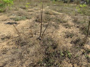 2.1 ha Land available in Craigavon