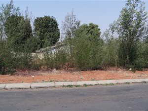 972 m² Land available in Ohenimuri