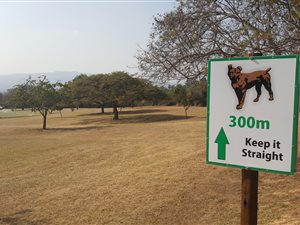1120 m² Land available in Matumi Estate