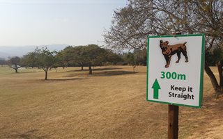 1120 m² Land available in Matumi Estate