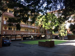 2 Bed Flat in Arcadia