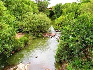21.4 ha Land available in Dinokeng