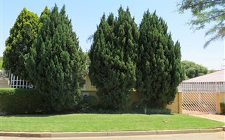 4 Bedroom House in Greymont