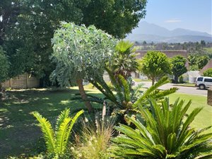 5 Bed House in Denver Park