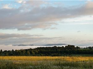 34.6 ha Farm in Howick