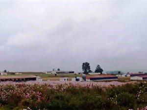 21.4 ha Farm in Olifantsfontein