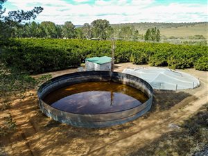 223 ha Farm in Alexandria