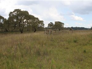1.1 ha Land available in Belfast