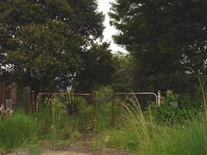 1115 m² Land available in Graskop