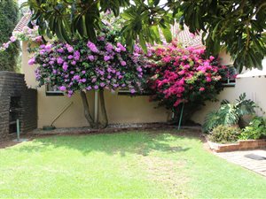 22 ha Farm in Zesfontein AH