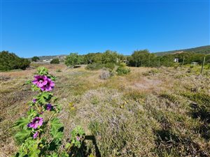 2178 m² Land available in Klein Brak River