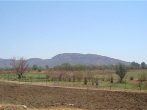 1248 m² Land available in Melodie