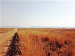 4.3 ha Land available in Mooiplaats AH