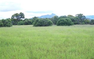 1588 ha Farm in Hofmeyr