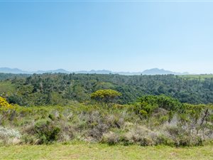 1250 m² Land available in Oubaai and surrounds