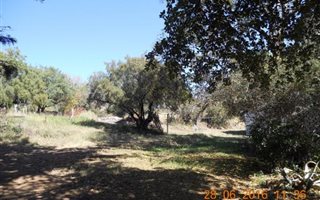 18 ha Farm in Elandsfontein AH