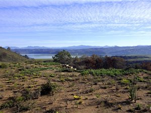 826 m² Land available in Lake Brenton