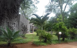 80 ha Farm in Musina