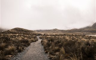 85 ha Land available in Hammanskraal
